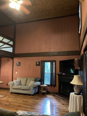 Smart TV, fireplace, books