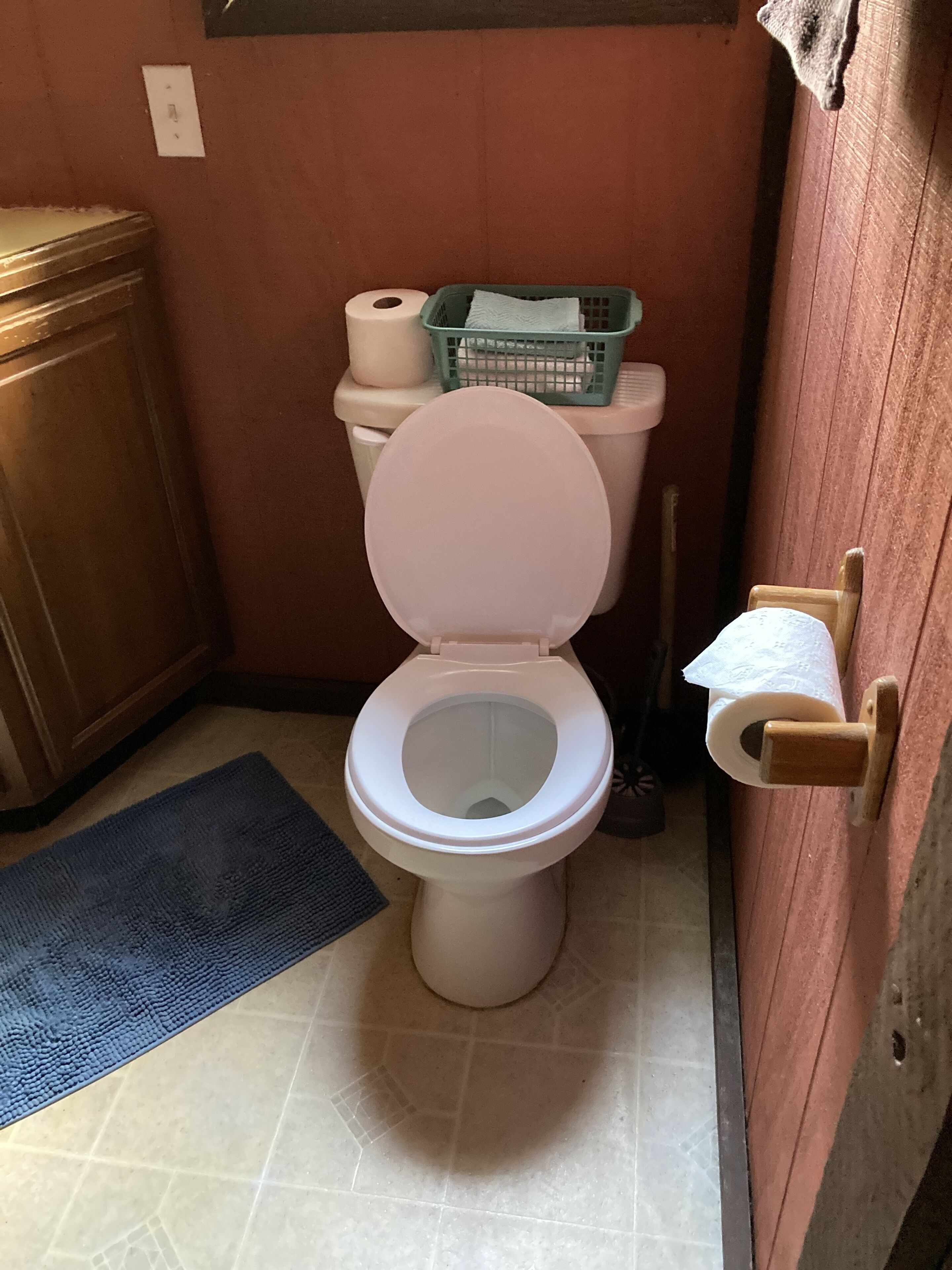 Un baño con inodoro, un tapete azul, un armario de madera y una puerta con toallero.
