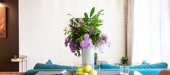 Futurama Studio lÀhellÀ Ipodromia