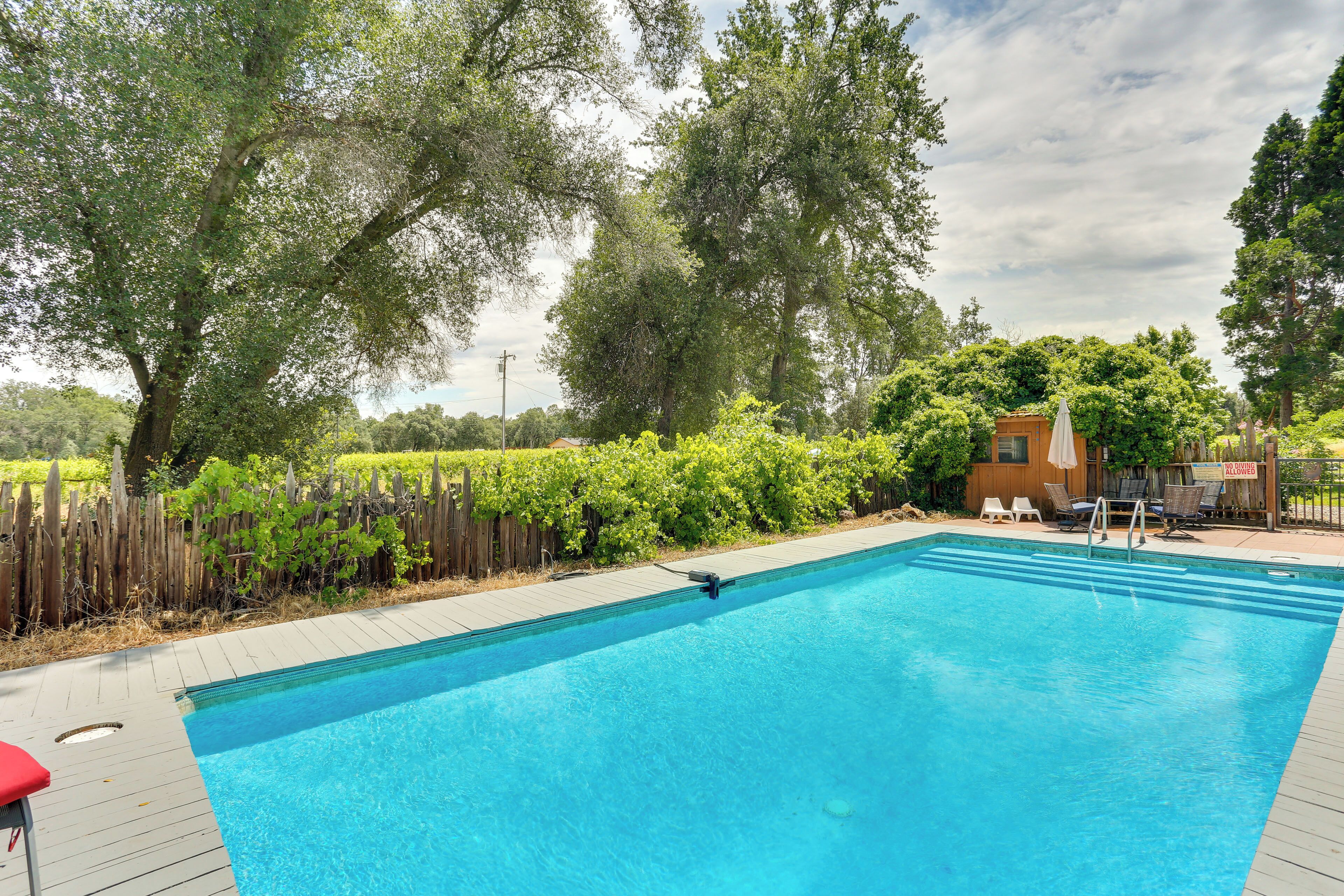 Piscine