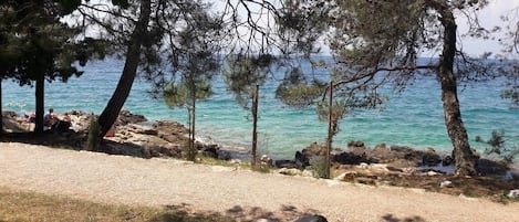 Enjoy a serene coastal retreat with a clear view of the sea and a natural canopy of trees.