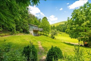 A house surrounded by lush greenery and a clear sky. - Romantic Mountain Cottage Near Boone (Purlear)