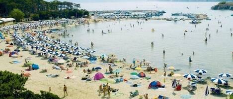 Spiaggia | Una spiaggia nelle vicinanze