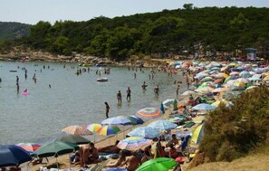 ビーチの近く