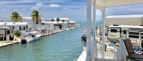 A marina with RVs docked along a waterway, surrounded by palm trees and buildings.