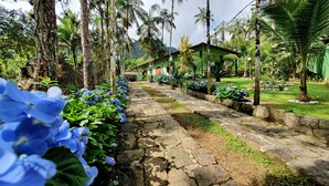 Un chemin de pierres bordé de buissons d’hortensias bleus, qui mène à un bâtiment doté d’un toit végétalisé et d’un porche abrité.