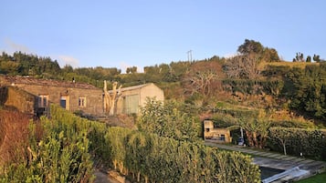 Ulkopuoli