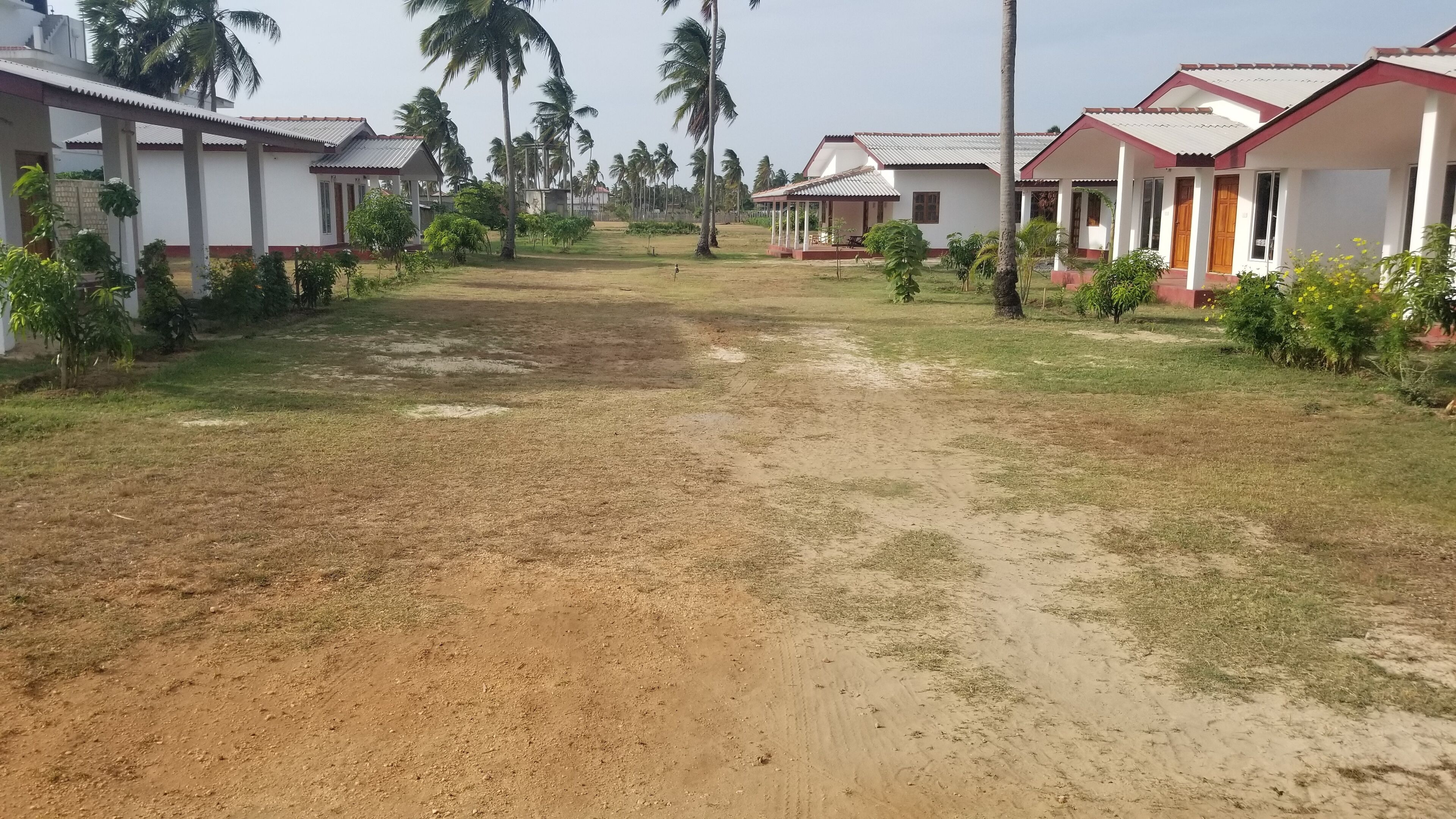 Una zona residencial con varias casas, cada una con un porche y un pequeño jardín.