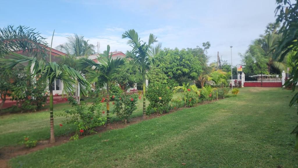A well-maintained grassy area with palm trees and flowering plants, a clear sky, and a distant view of a building with a flag.