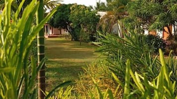 A garden pathway leading to a building with a clear sky.
