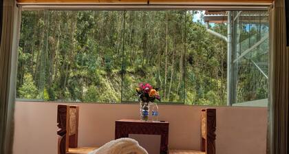 Hospedaje Casa Sapantiana