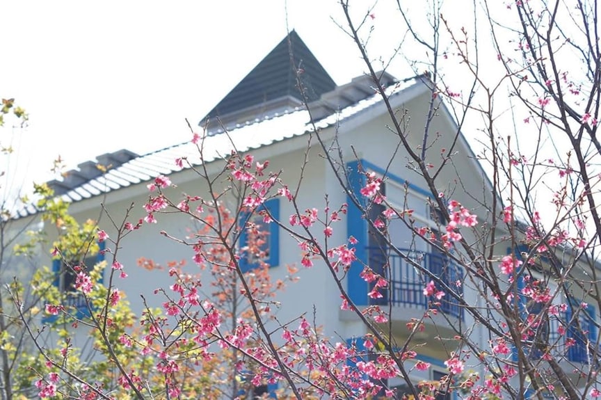 南庄 麥克尼景觀莊園magnni villa評價、寵物友善體驗、親子設施、房價資訊、訂房連結 – 寵物親子友善莊園 - 照片 5