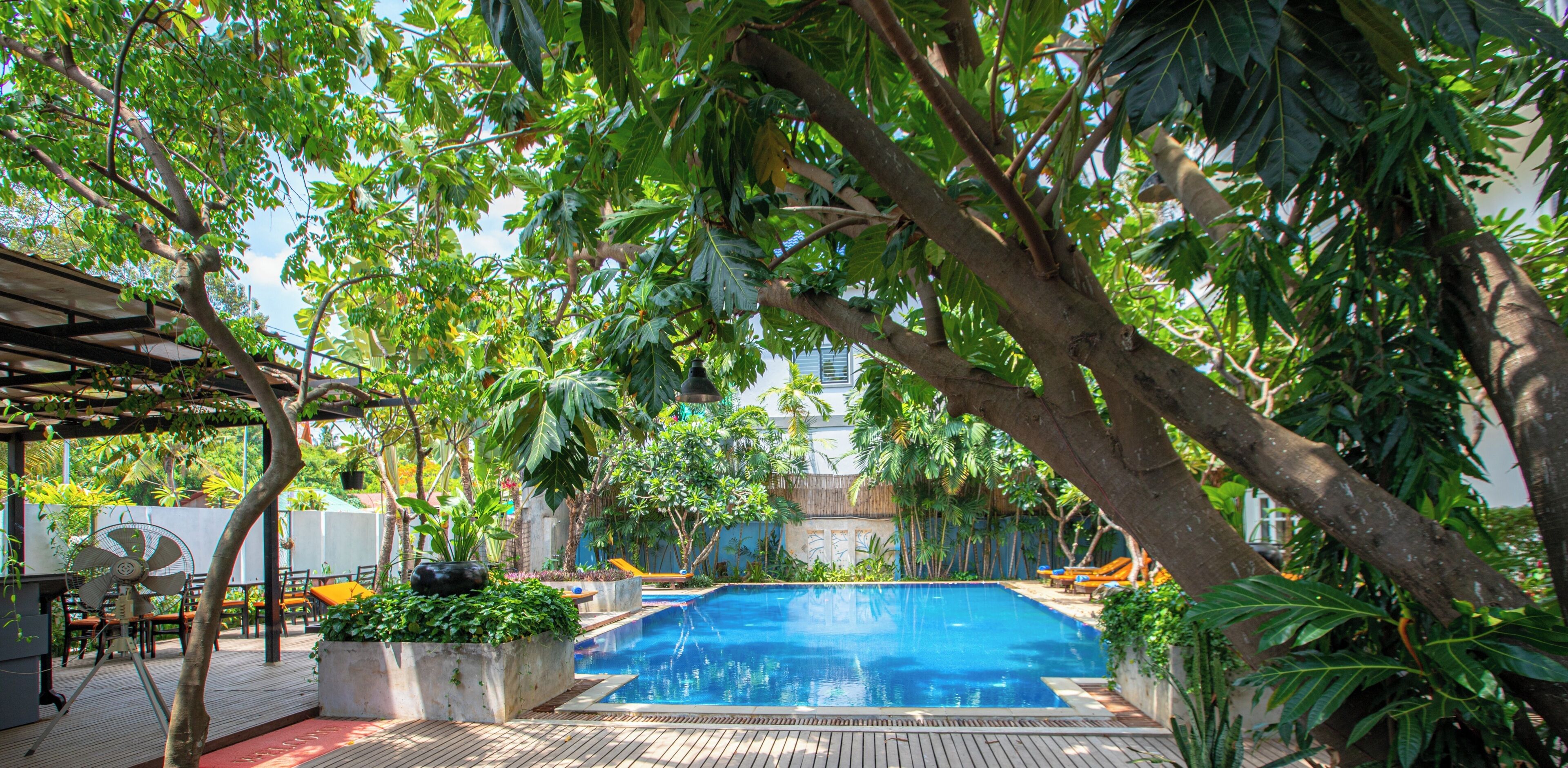A swimming pool surrounded by lush greenery, with a wooden deck and outdoor furniture.