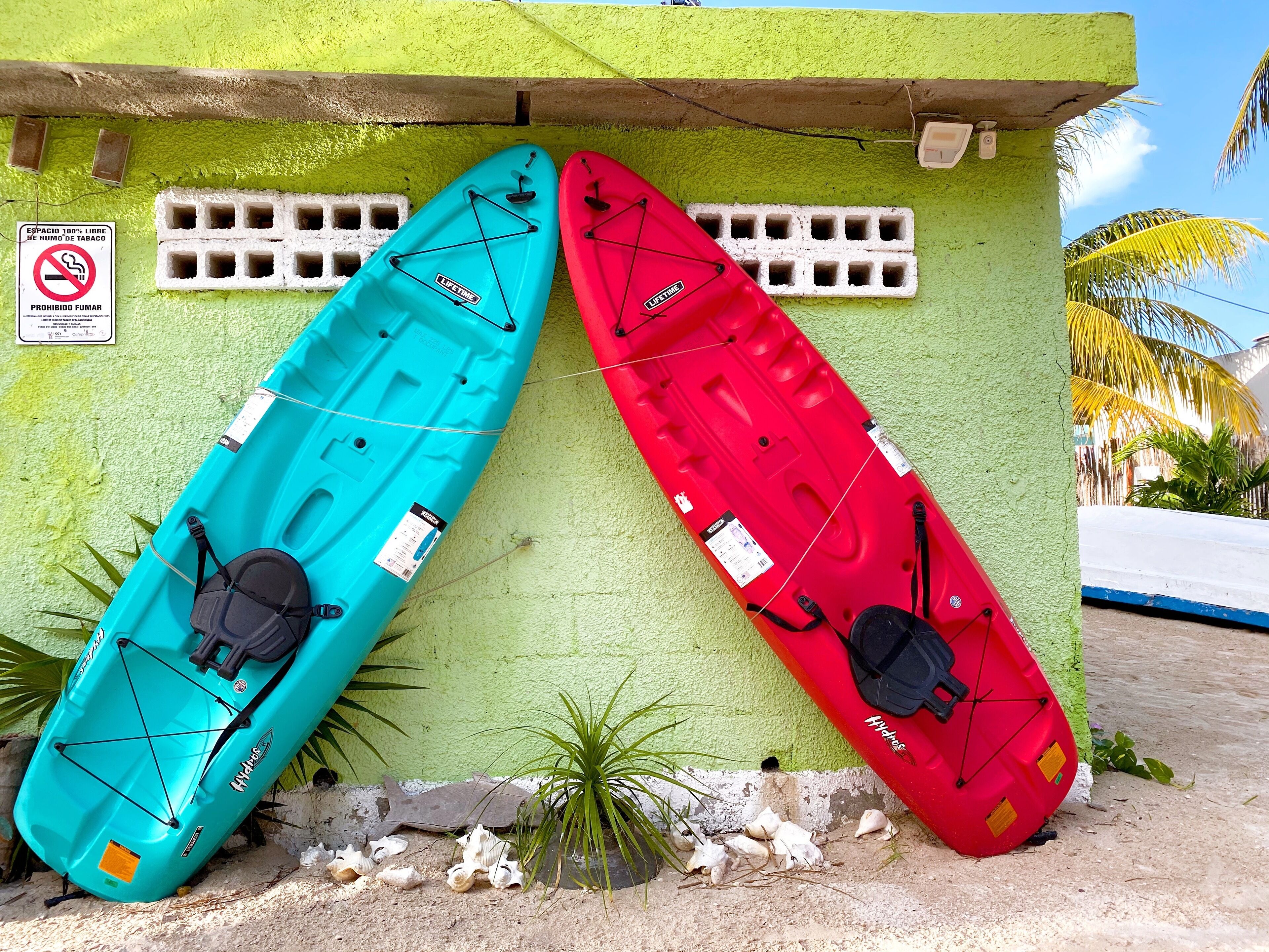Dos kayaks, uno azul y otro rojo, apoyados contra una pared verde con un letrero de prohibido fumar.