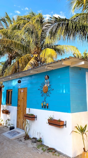 A small building with a blue and white exterior, a wooden door, and several potted plants.