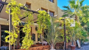 Un espace extérieur aménagé avec des bancs et des tables en bois, entouré de plantes en pot et agrémenté d’une pergola couverte de plantes grimpantes.