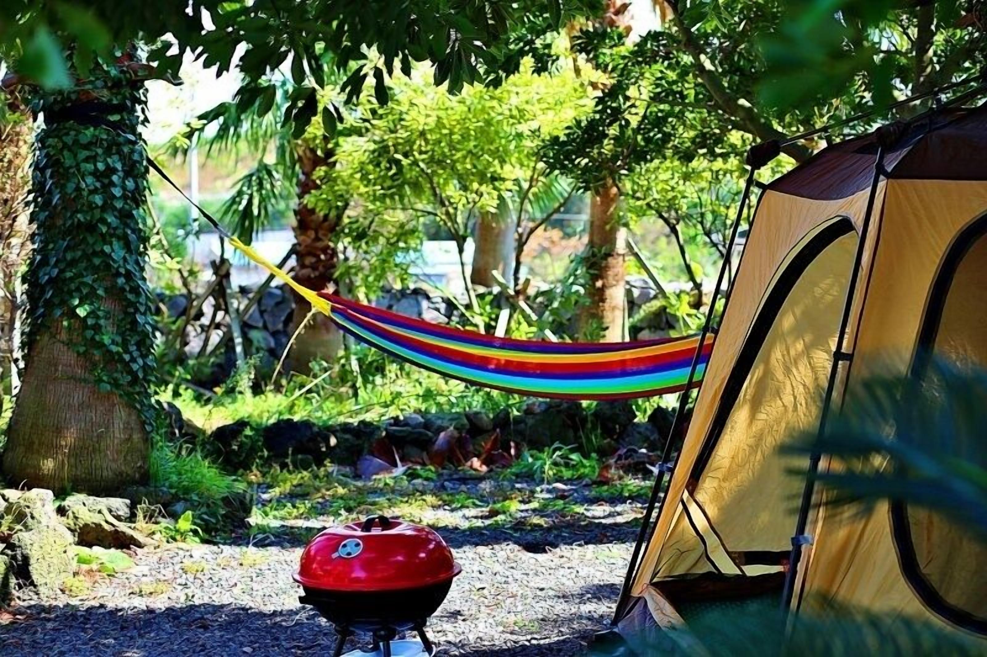 Área de parrilladas y picnic