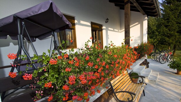 Un espace extérieur abrité, aménagé avec un banc et une table, et entouré de plantes et de fleurs en pot.