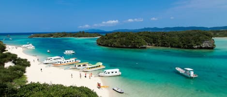 Family House | Beach/ocean view