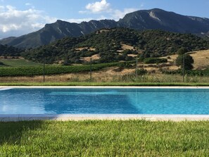 AuĂenpool, Infinity-Pool