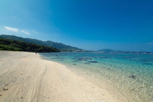 Regina Ishigaki Ocean Yonehara