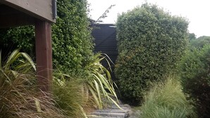 A stone pathway with steps leading through a garden area.