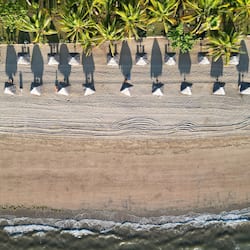 Trên bãi biển, cát trắng, lặn với ống thở, quán bar trên bãi biển