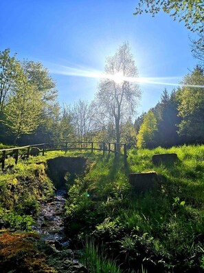 Image sans description, 2 de 44, bouton