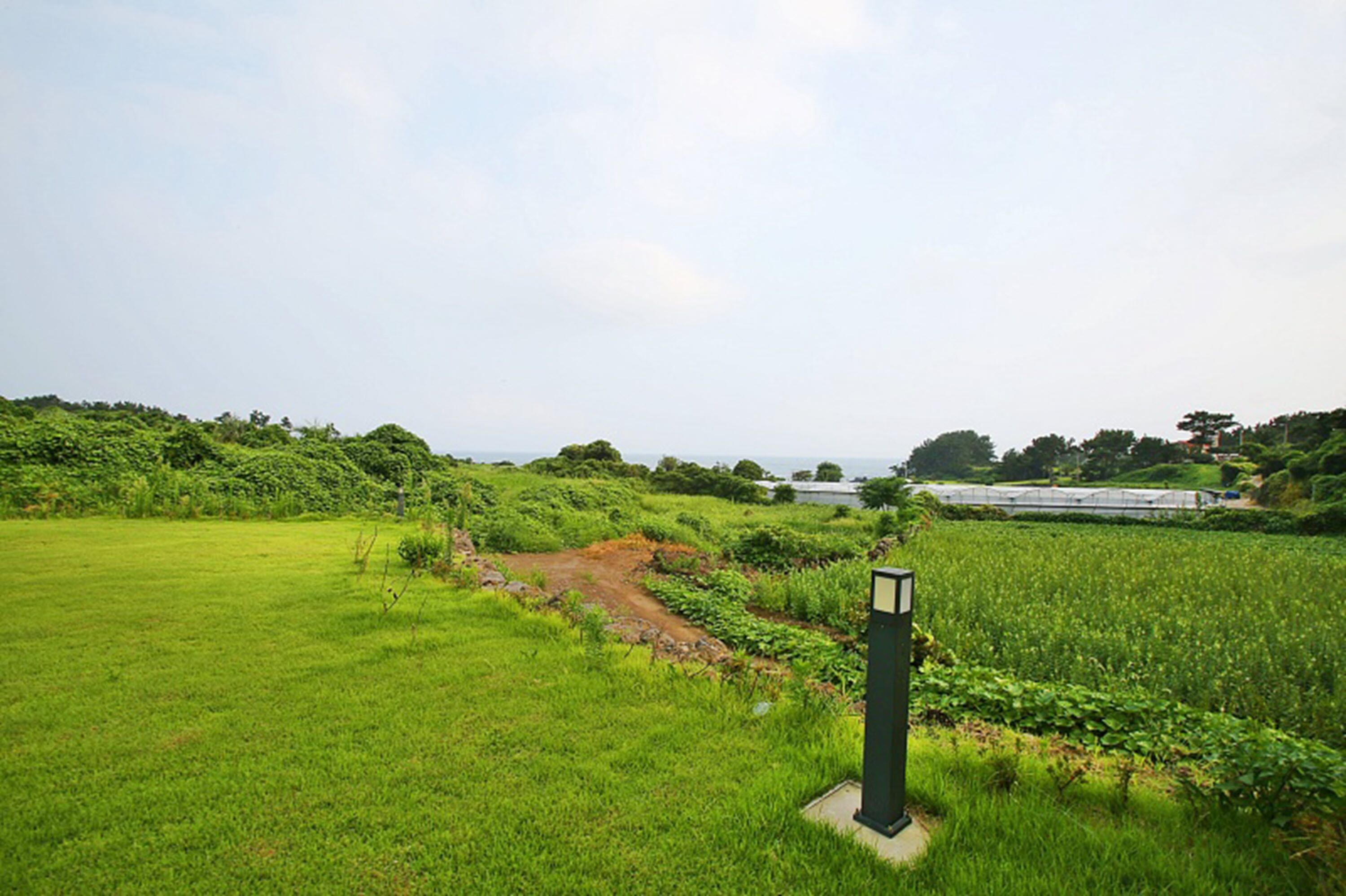 A green field with a path leading to a greenhouse.