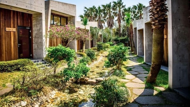 A courtyard with a stone pathway, palm trees, and a small water feature. - Visby Jeju Palm Village (Seogwipo)