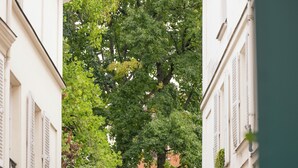 A narrow cobblestone street flanked by buildings with white facades and shutters, lined with potted plants and trees.