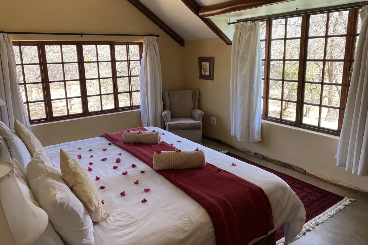 A hotel room with a large bed, two windows, a chair, and a red carpet.