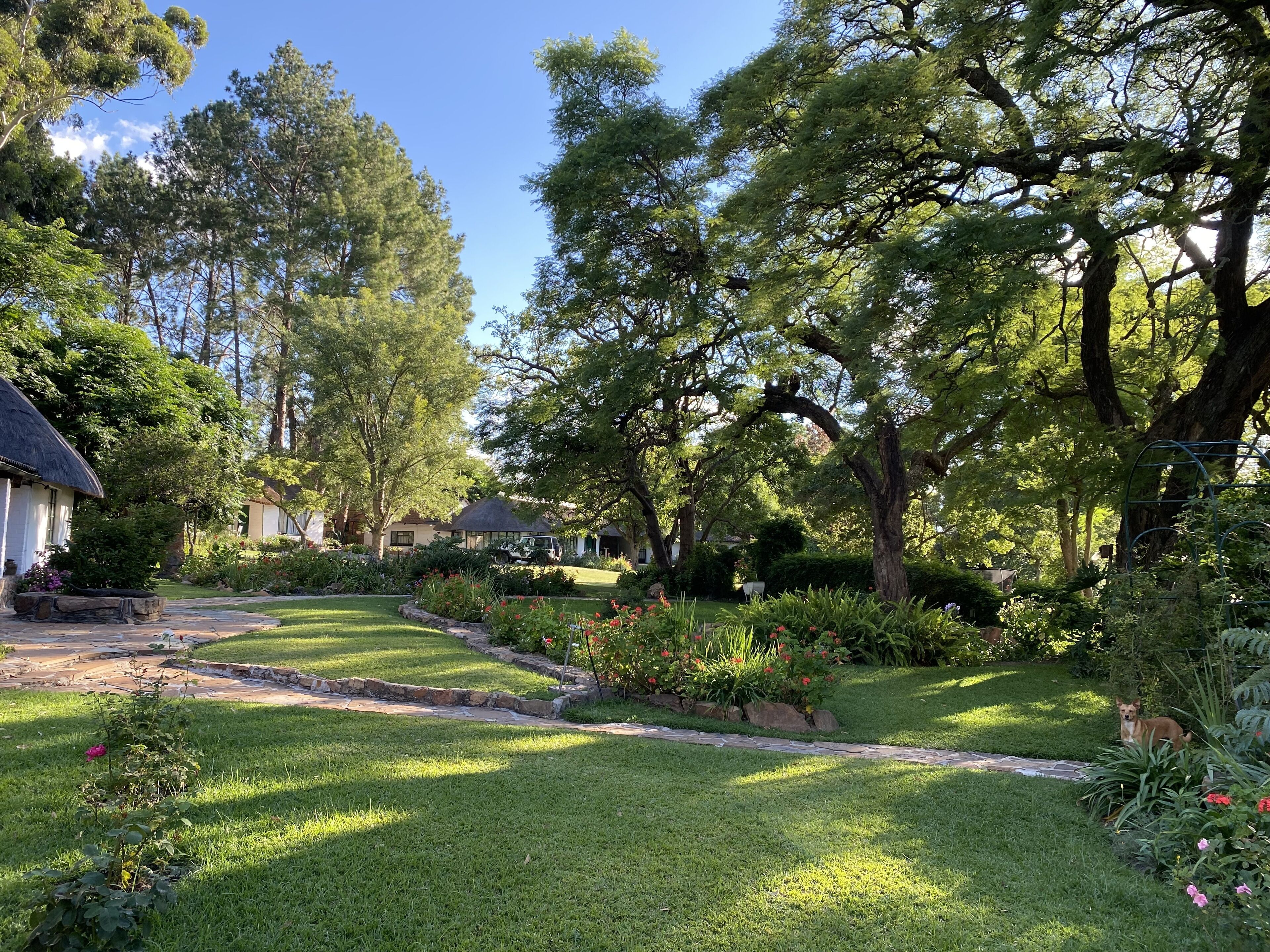 Windsong Cottage | Vue sur le jardin