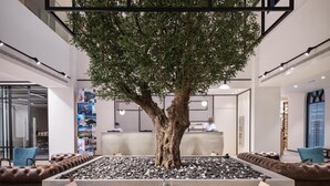 A spacious lobby with a large tree, modern seating, and a clear view of the interior. - JA The Manor Hotel, Dubai (Dubai)