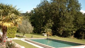 Una piscina rectangular rodeada por un borde de piedra, con césped y árboles al fondo.