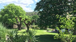 Un jardín cuidado con varios árboles y arbustos, un muro de piedra y un césped.