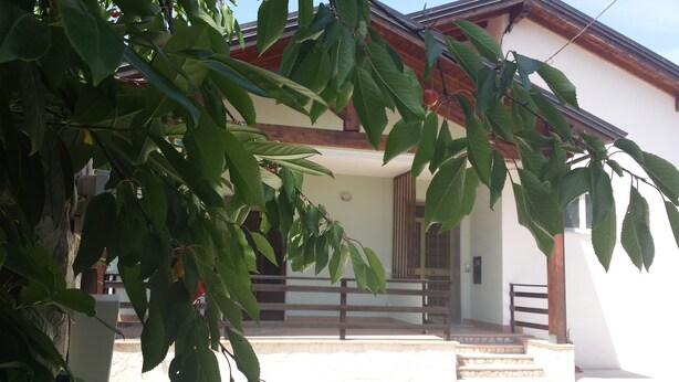 A house with a porch, steps leading to the entrance, and a tree with green leaves in the foreground. - B&B Della Ciociaria (Ceprano)