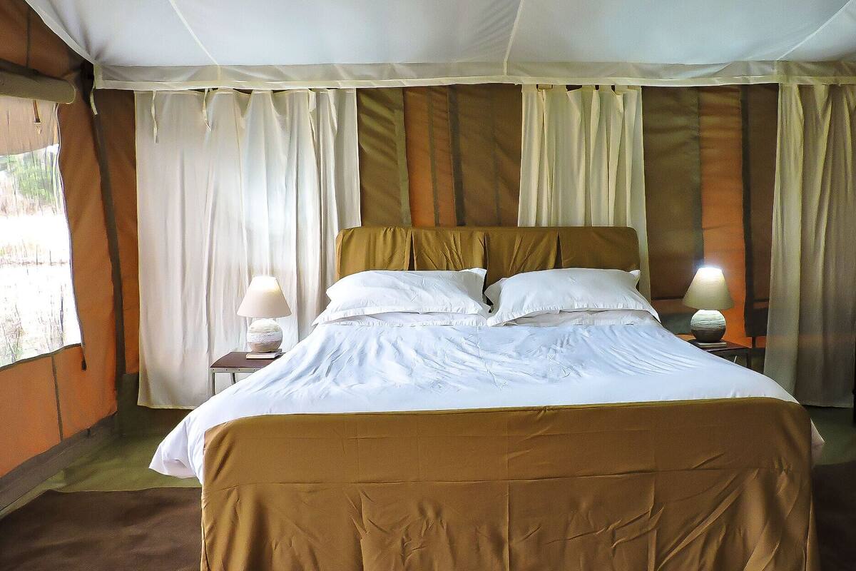 A single bed with a brown headboard and white bedding in a tent-style room with curtains.