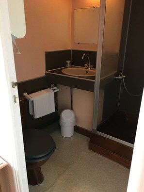 Habitación triple | Baño | Ducha, toallas, jabón y champú