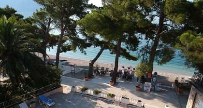 DREAMING SITUATION! Only 20 m to the beach. Family-friendly, WLAN free of charge, parking lot!