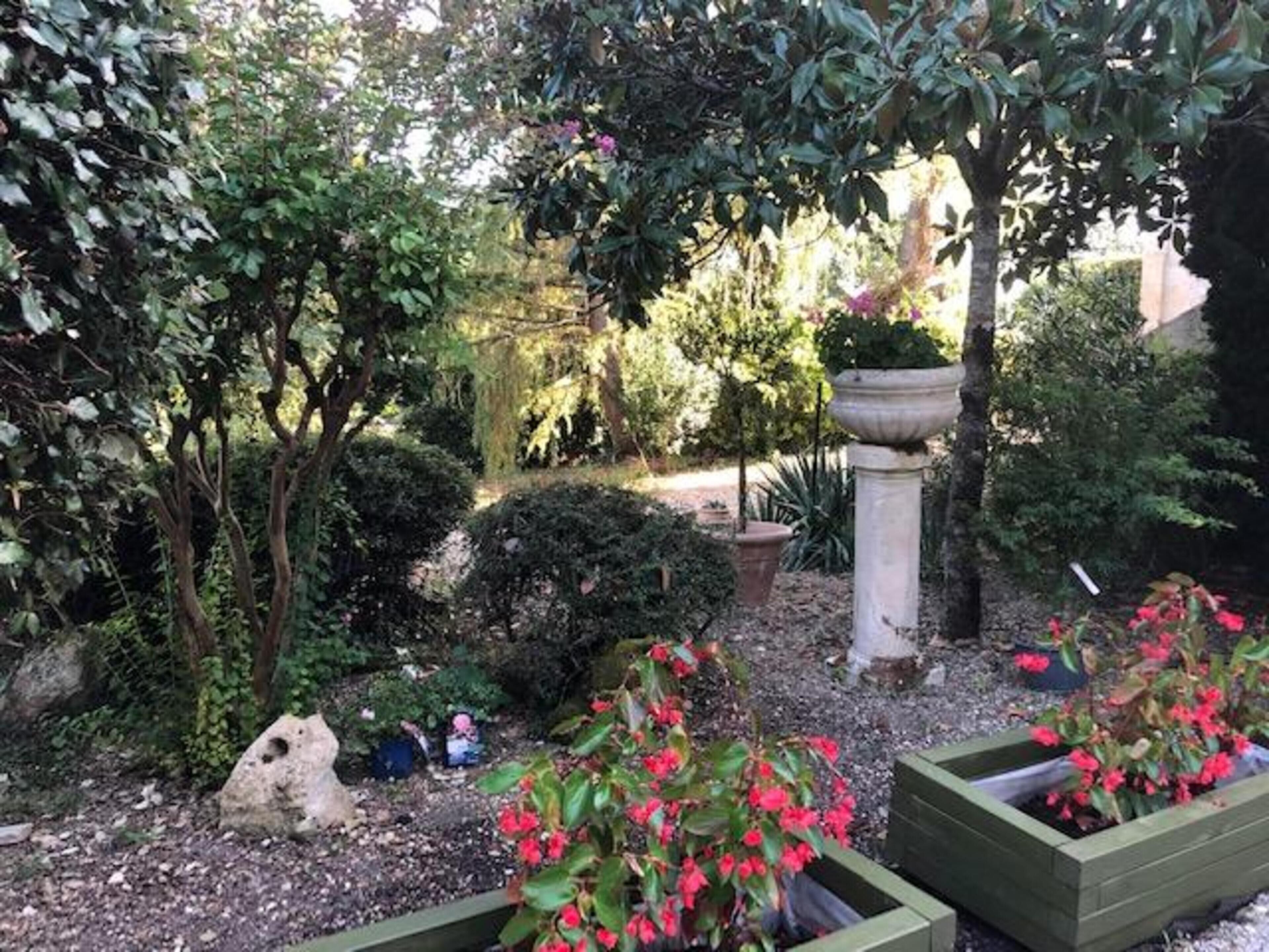 A garden with various plants and a stone structure.