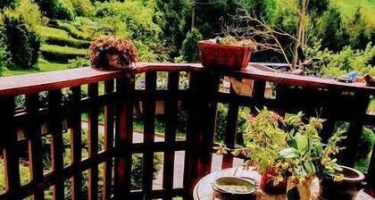 Ferienwohnungen Willrich