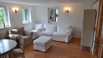 TV, DVD player, video library, stereo