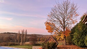 A garden with a tree covered in autumn leaves, a stone wall, and a blue roof structure. - Renovated farmhouse with stunning views & heated pool (Verteillac)