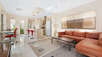 TV, Netflix, streaming services