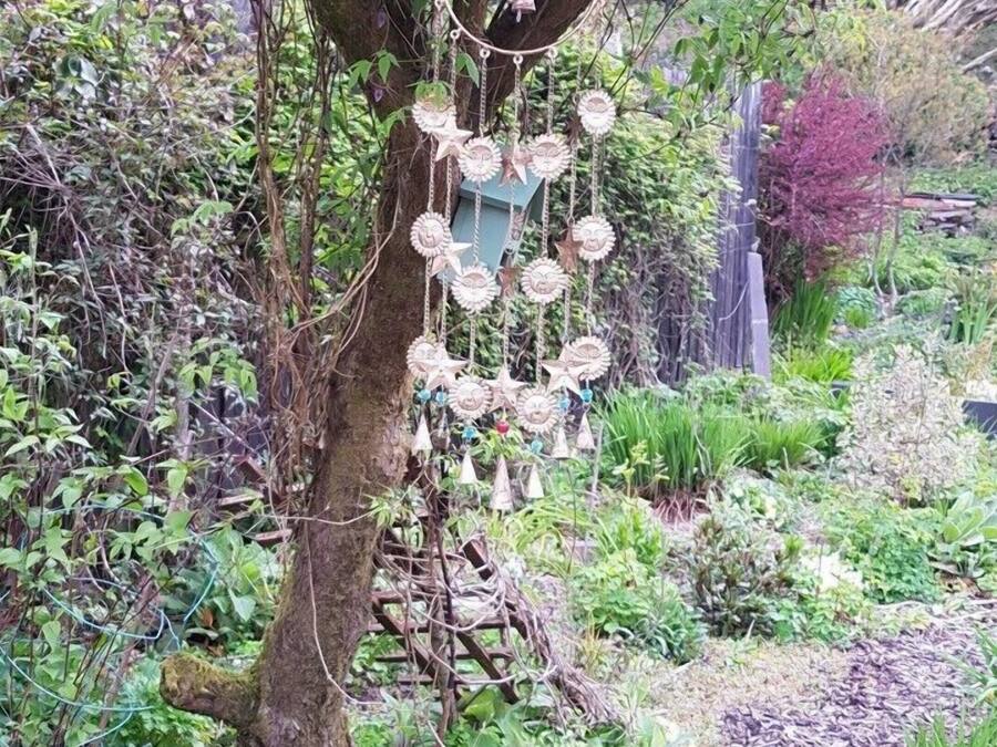 A tree with a hanging dreamcatcher and a purple bucket on the ground.