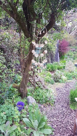 Jardín