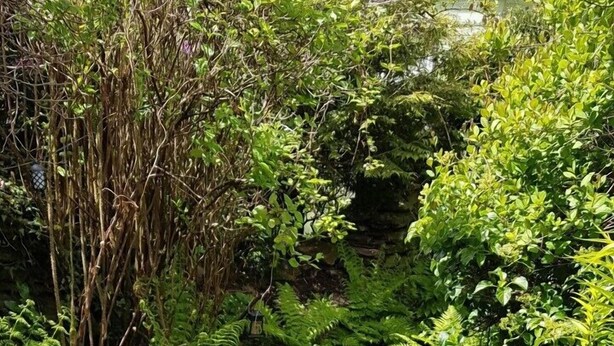 Un jardin avec un petit ruisseau, une table ronde en verre et deux chaises.