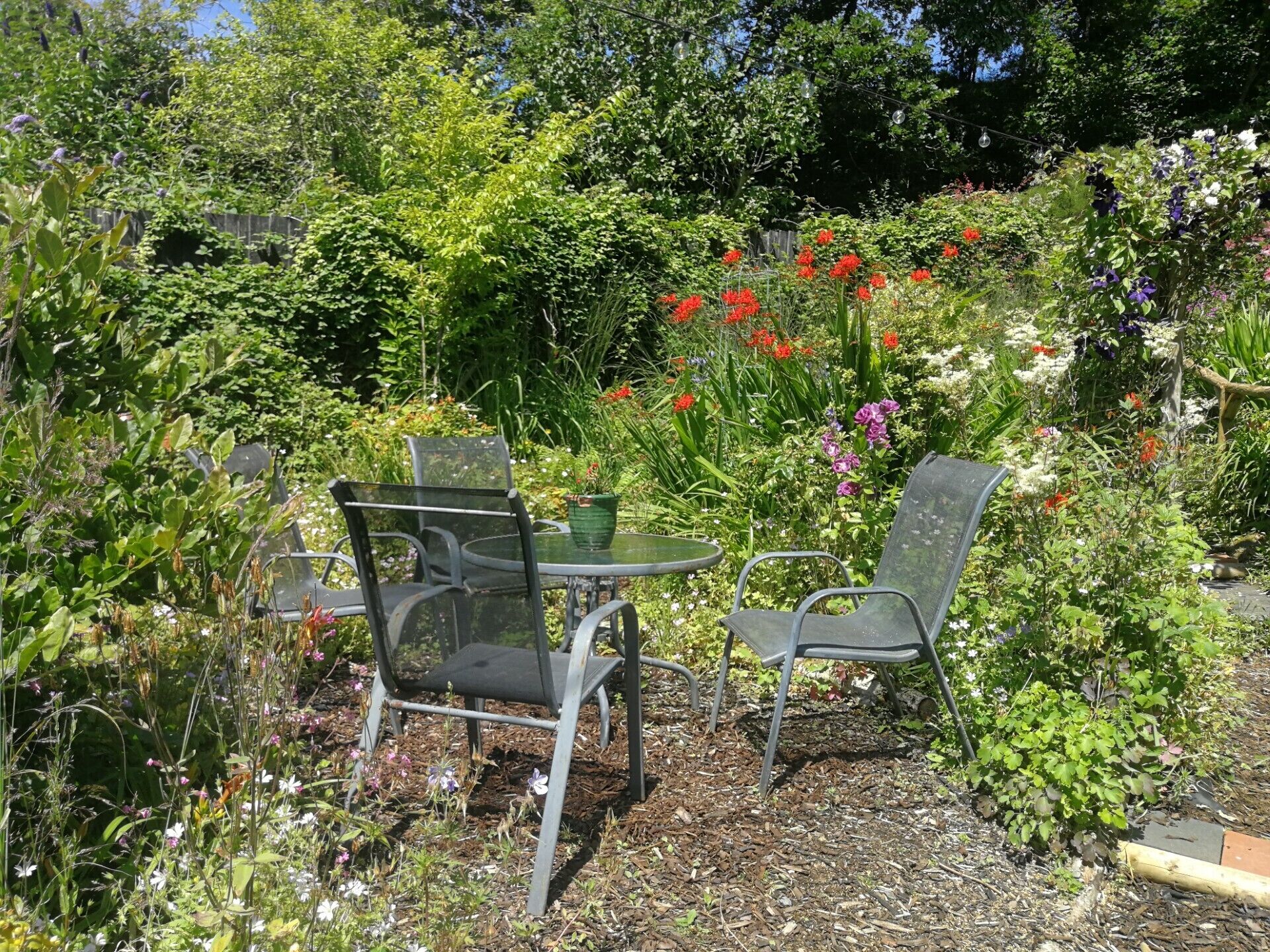 An outdoor seating area with metal chairs and a glass table surrounded by lush greenery and various flowering plants.