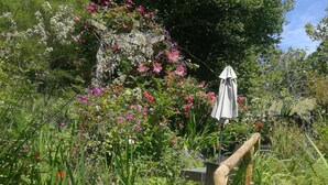 Un sentier de jardin bordé d’une clôture en bois, entouré de différentes plantes et fleurs.